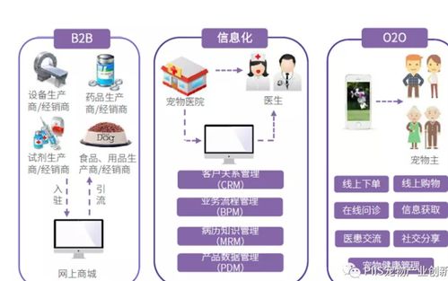 優(yōu)寵智能2021 寵物產(chǎn)品與服務(wù)的引爆點(diǎn)與網(wǎng)絡(luò)技術(shù)服務(wù)新路徑